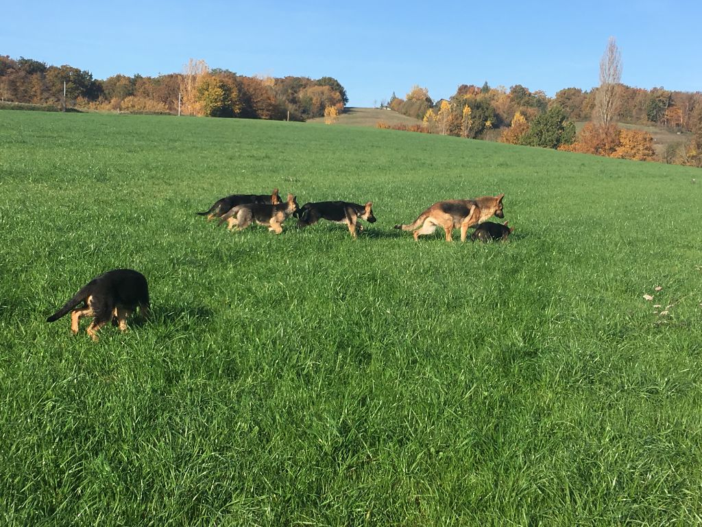 dans le pré ... le bonheur